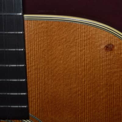 Martin D12-28 1971 image 6