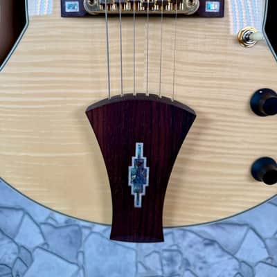 Ibanez AF105 NAT w/Case image 9