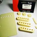 Fender Stratocaster Accessory Kit Aged White