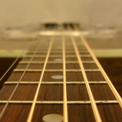 Tennesse Tut Taylor Resonator Guitar Slotted Headstock image 7