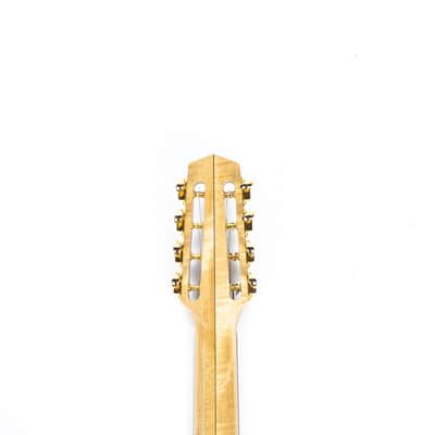 Dell'Arte Pigalle Mandocello Owned by Nancy Wilson of Heart image 9