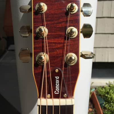 Ibanez Concord 699 AV 1978  guitar image 12