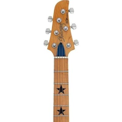 Smashing Pumpkins Billy Corgan Played + Autographed Custom Ibanez Talman 1994 image 3