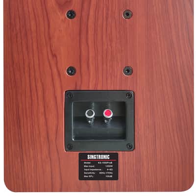 Singtronic 2500W Home Karaoke Vocal Speakers (Pair) image 5