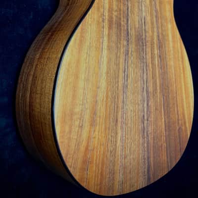 Taylor 724ce Hawaiian Koa Top Back and Sides image 5