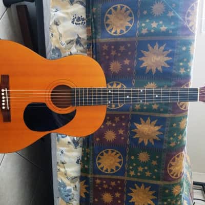 Thomas Pacconi Classical Guitar image 4