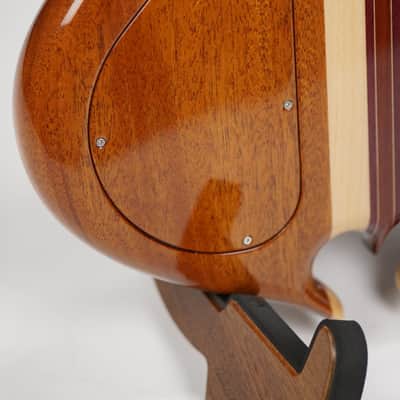 Alembic Darling Cocobolo Guitar image 12