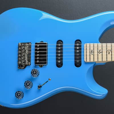 Paul Reed Smith Mark Lettieri Fiore '24 image 1