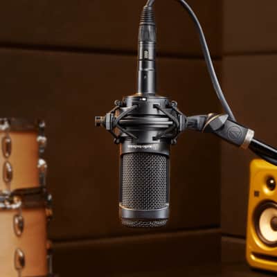 Audio-Technica AT2050 Large Diaphragm Multipattern Condenser Microphone - Black image 5