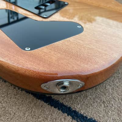 Paul Reed Smith SE Custom 24 Exotic wood DiMarzio 36th Anniversary PAF’s image 9