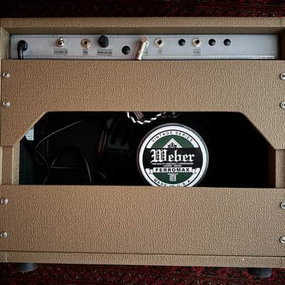 Li'l Dawg Amps 6G2 ChocoPrince combo 2025 image 6
