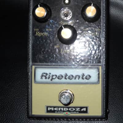 Mendoza Ripetente 2015 Handmade delay image 1