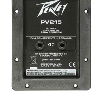 Crossover Peavey - Ricambio Originale Per PR 10