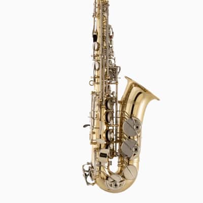 Selmer SAS301 Student Alto Saxophone - Lacquer image 1