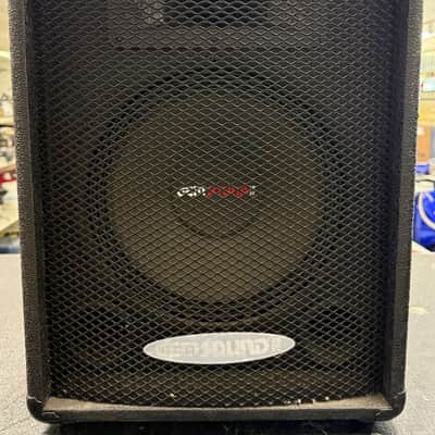Gem Sound Passive PA Speaker Cabinet 12" Speaker w/ Speakon & 1/4" Inputs Tested image 1