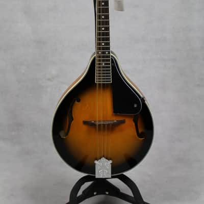 Alfreds Teach Yourself To Play Mandolin Firebrand Mandolin image 1