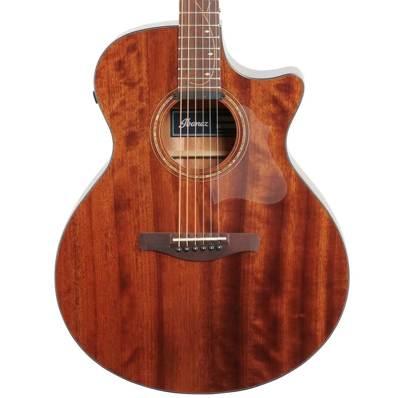 Ibanez AE295 image 2