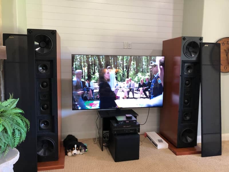 Dunlavy SCV / SC-V  Mastering Speakers image 1