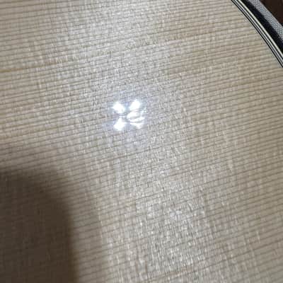 Alvarez Yairi FYM60HD Mahogany image 6