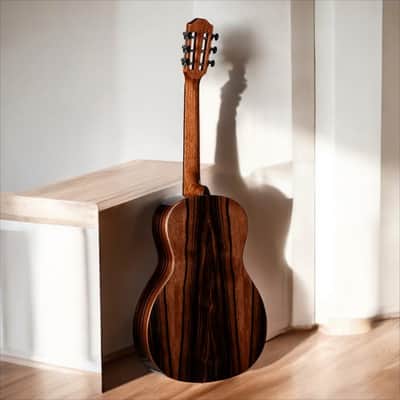 Teton STP180DVB Spruce/Ebony Parlor â€“ Vintage Vibe, Modern Tone! image 2
