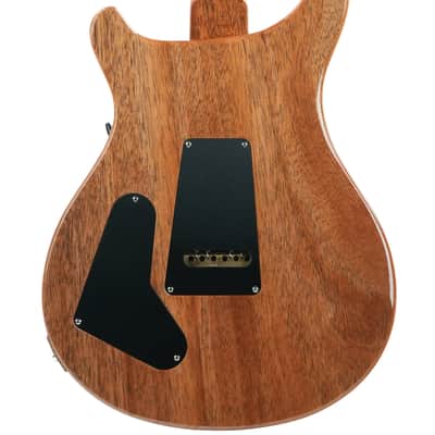 PRS Special 22 Semi Hollow Tiger Eye image 4