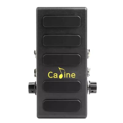Caline CP-31P Volume and Expression Controller Volume Boost Function 2 In 2 Out image 4