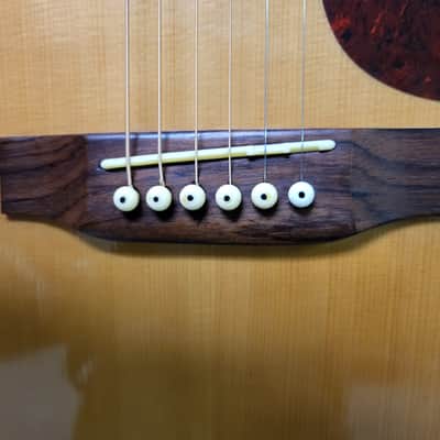 2002 Hofner Acoustic Guitar Model HAS-05GC New Strings Pro Setup Original Soft Shell Case image 4