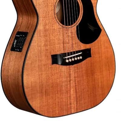 MATON EBW808C w/Case image 2