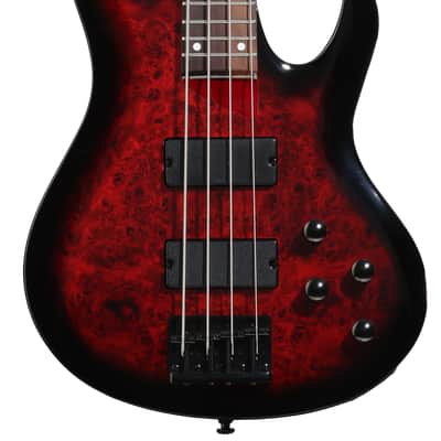 ESP LTD B-204DX Electric Bass Guitar - Red Burst Rosewood Fingerboard image 3