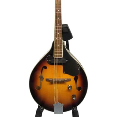 Fender FM-52E Acoustic Electric Mandolin with Case image 1