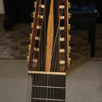 Darren Hippner 13-string Concert Classical 2011 image 3