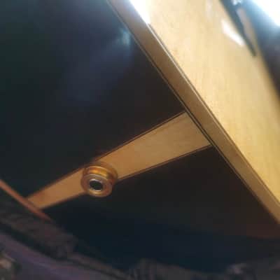 Bedell TBCE 28-G (US Customers Tax included in shipping cost) image 9