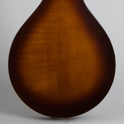Stradolin  Oval Hole Arch Top Mandolin,  c. 1936, original black chipboard case. image 4