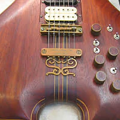 The Joker.THE Guitar! image 10