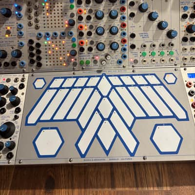 Buchla System with 18 boat - Silver image 6