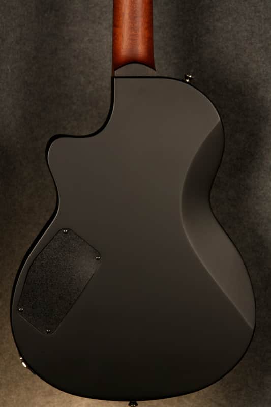 【Tahoo】Larrivée RS-2 Dual P-90 USA製 Tahoo】Larrivée RS-2 Dual P-90 USA製 Larrivee Acoustic Guitars