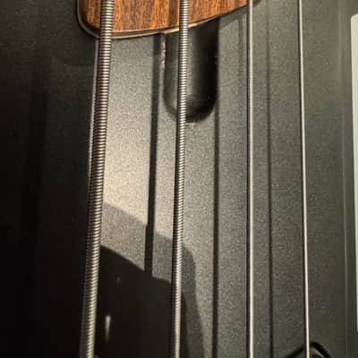 Dingwall D-Roc Standard 2020 Blackburst image 4