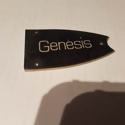 1979 Epiphone Genesis Truss Rod Cover image 2