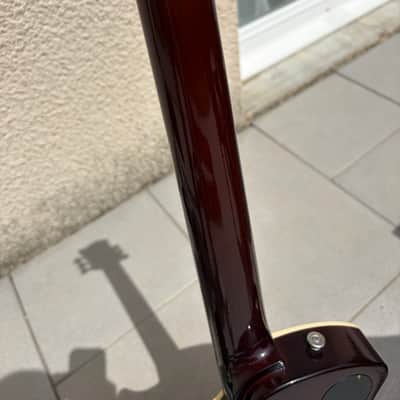 Springer Seraph Vns 2023 - Goldtop image 6