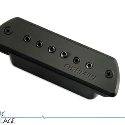 Fishman PRO-NEO-FB2 Neo-Buster 2 Humbucking Soundhole Acoustic