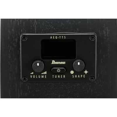 Ibanez AEG621 AEG Acoustic Electric Guitar - Black Out image 9