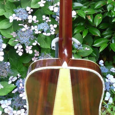 Hillbilly by Suzuki W-40 Brazilian Rosewood 1970's Natural BARGAIN image 9