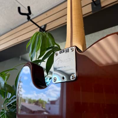 Fender Limited Edition Exotic Collection Malaysian Blackwood Telecaster 90 2017 - Gloss Natural image 10