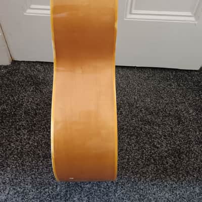 Epiphone FT-570BL (1974) image 9