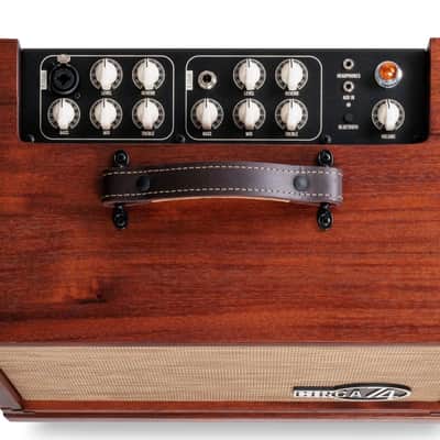 Taylor Circa 74 150-watt 1 x 10" Mahogany Acoustic Guitar Amplifier image 8