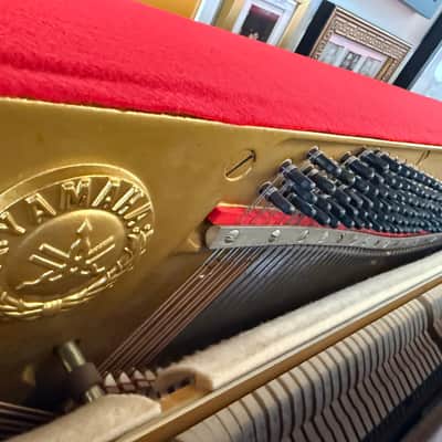 Yamaha M1 Upright Piano - Walnut (1975) image 3