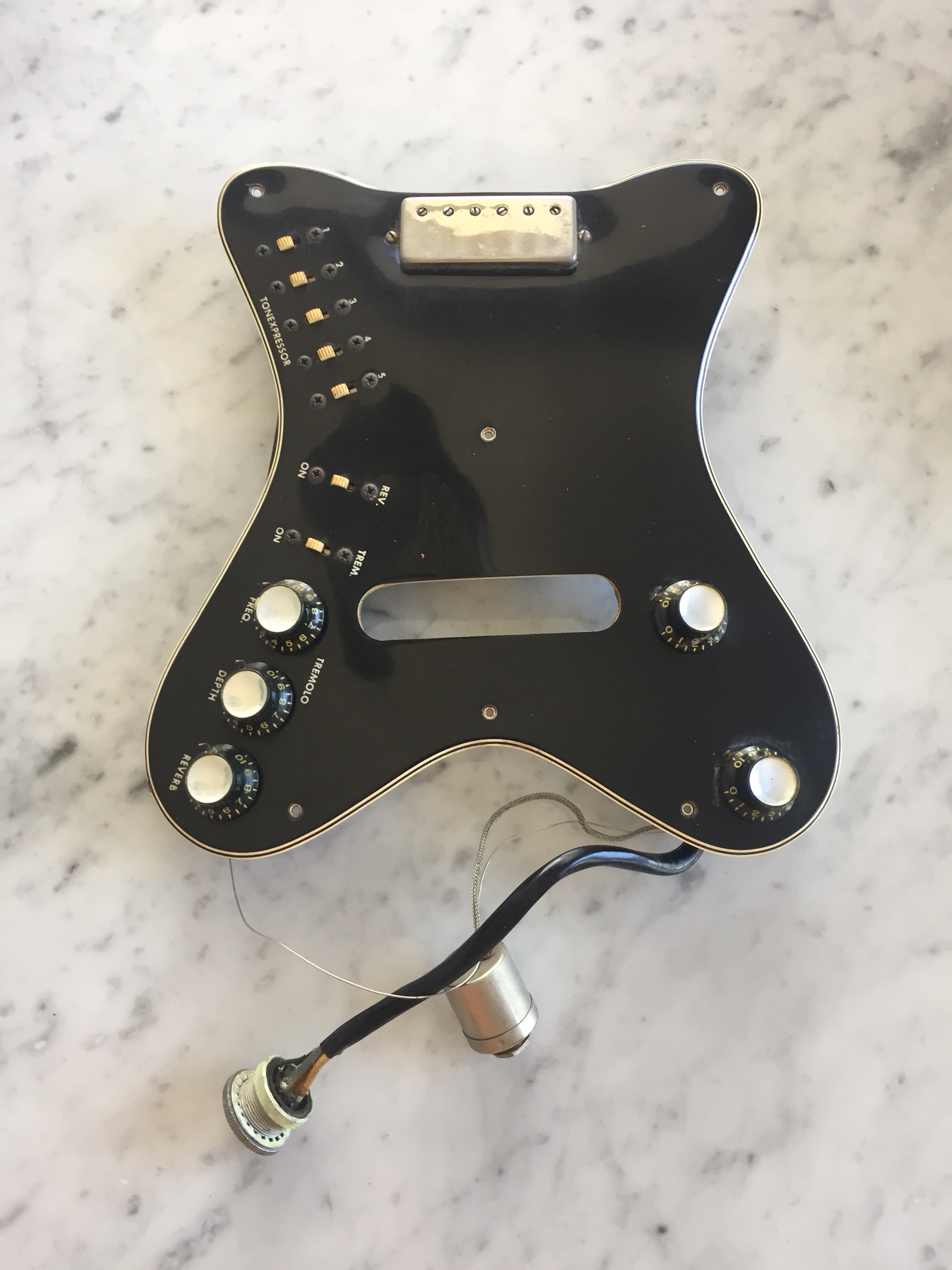 1960's Epiphone Professional Outfit Vintage Pickguard Assembly Collector EA7P EA8P Mini humbuckers