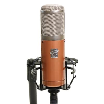 Roswell Colares Microphone image 2