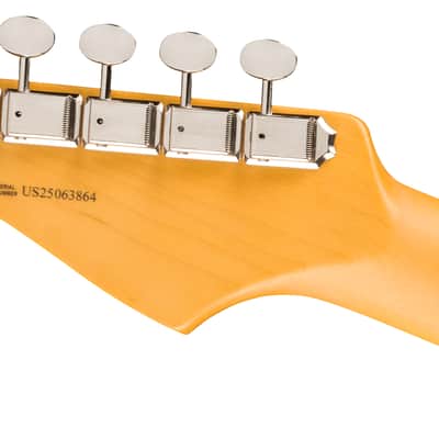 Fender American Professional Classic Stratocaster HSS, Maple Fingerboard, Faded Black image 8