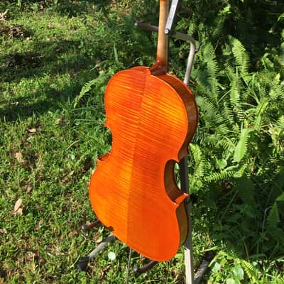 Tenor Violin (half-size cello tuned GDAE) image 10